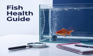 Freshwater Fish Disease Identification & Quarantine Guide